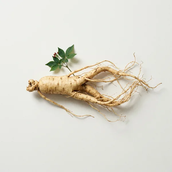 Ginseng bitkisel ekstre